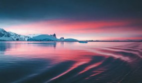 Fotográfia Stunning sunset on the Antarctic peninsula, David Merron Photography