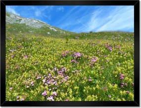 Poszterek keretben 40x30 Alpesi rét