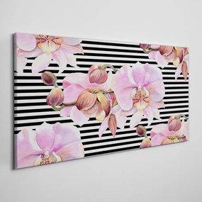 Vászonkép Orchid virágcsíkok