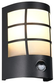 Fali kültéri lámpa (magasság 20 cm) Sintra – Trio