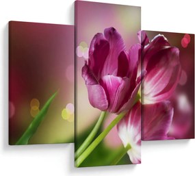 Rózsaszín tulipánok képe (90x60 cm)