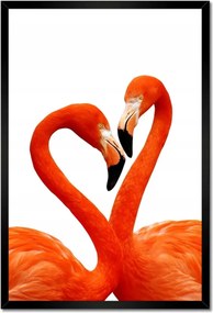 Poszterek keretben 40x60 Szerelmes flamingók