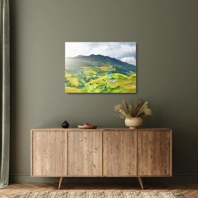 Ültetvények képe (üvegen) (70x50 cm)