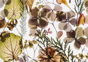 Fali fotótapéta Flizelina a konyhába Természetes kompozíció 312x219 Ragasztó