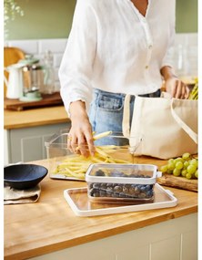 Műanyag hűtőszekrény rendszerező Cauma – Rotho