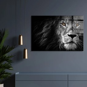 Üvegkép, 70×100 cm – UV-008