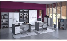 Polcosszekrény Hamila NEW TYP 05 (grafit + fehér). 1028758