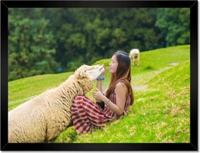 Poszterek keretben 40x30 Az én bárányom Hegyek csarnoka