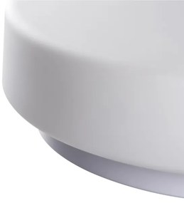 Kanlux 8813 - Fürdőszobai mennyezeti lámpa PERAZ 1xE27/15W/230V á. 25 cm IP44