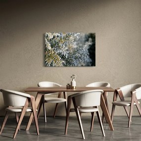 Kép - Ág részlet (90x60 cm)