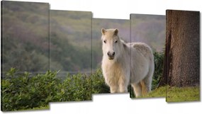 Vászonkép 150x80 Ló Lovak Lovaglás