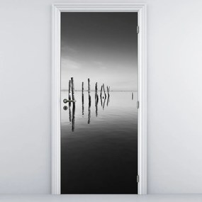 Fotótapéta ajtóra - Fekete-fehér vízfelület (95x205cm)