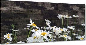 Festmények 120x60 Margaretki