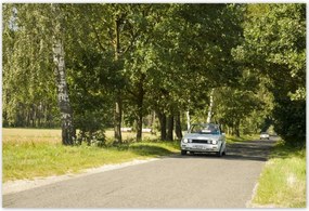 Poszterek 185x125 Golf I 1 VolksWagen