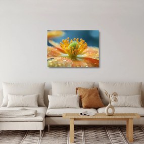 Üveg kép - Részlet a virágból (70x50 cm)