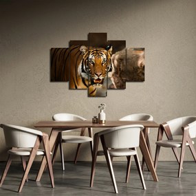 Tigris képe (150x105 cm)