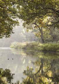 Poszter 42x59,4cm Basingstoke 3 csatorna, Assaf Frank