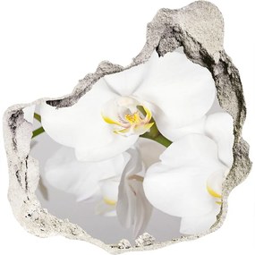 Fali matrica lyuk a falban Orchidea nd-p-133396361