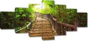 Vászonkép 210x100 Lépcsők az erdőbe
