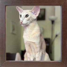 Kész Keret Állításhoz Vagy Akasztáshoz 20X20 2cm fa wenge