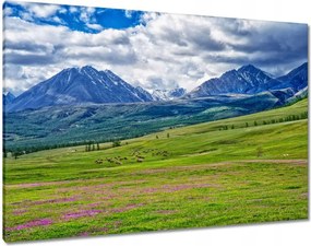 Vászonkép 100x70 Juh legeltetés Bárányok