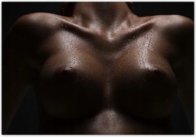 Fotótapéta flizelina 368x254 Feszes mellek Akt