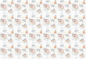 Fotótapéta Róka mackók Csillagok Felhők a gyerekszobába 250x175 +ragasztó
