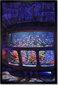 Poszterek keretben 40x60 A halak víz alatti világa