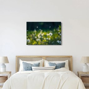 Kép - Fű (90x60 cm)