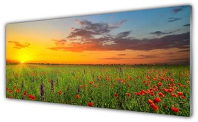 Akril üveg kép Sun mezei virágok Természet 100x50 cm