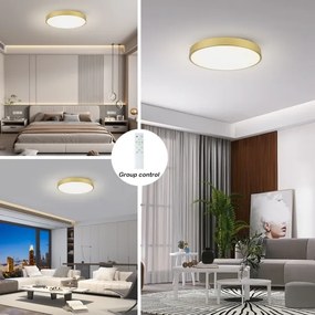 Brilagi - LED dimmelhető medencelámpa POOL SMART LED/100W/230V 80 cm arany Wi-Fi Tuya+távirányító