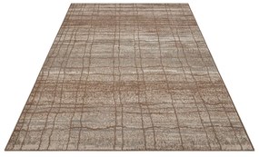 Barna-bézs szőnyeg 160x235 cm Terrain – Hanse Home