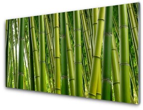 Akrilkép Bambuszrügy Bamboo Forest 100x50 cm 2 fogas