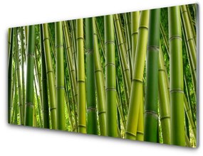 Akrilkép Bambuszrügy Bamboo Forest 100x50 cm