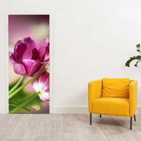Fotótapéta ajtóra - Rózsaszín tulipán (95x205cm)