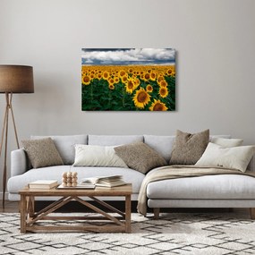 Napraforgó mező képe (90x60 cm)