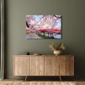 Kép - Hirosaki, Japán (90x60 cm)