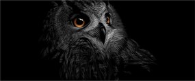 Kép - bagoly, ábra (120x50 cm)