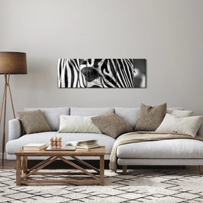 Zebra képe (órával) (90x30 cm)