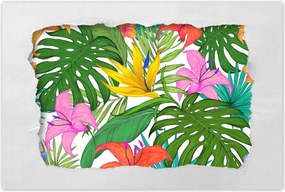 Poszterek 60x40 TrĂłpusi levelek Leaves