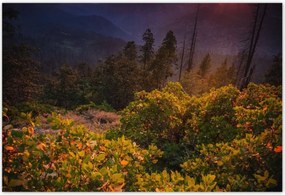 Poszterek 200x135 Kilátás Tájkép