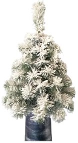 Karácsonyfa 60cm virágcserépben Snowy