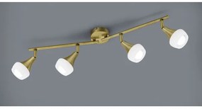 TRIO - Spotlámpa TRUMPET 4xE14/40W/230V