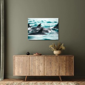 Kép - Delfinek az óceánban (üvegen) (70x50 cm)