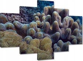 Festmények 150x105 Sárga korallzátony