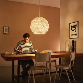 Philips 40914/21/PN - Csillár zsinóron MYLIVING CORKWOOD 1xE27/60W/230V