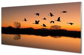 Üvegképek Repülő madarak naplemente 120x60cm