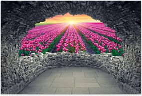 Poszterek 120x80 Tulipánok tengere Virágok