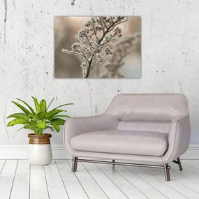Üveg kép - Növény fagyban (70x50 cm)