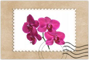 Poszterek 90x60 Lila orchidea